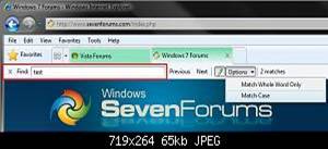 Find on this Page - Use in Internet Explorer-options.jpg