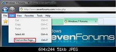 Find on this Page - Use in Internet Explorer-menu_bar.jpg