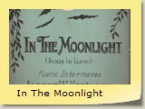 In The Moonlight